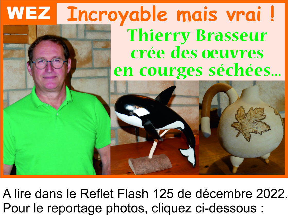 Brasseur Thierry Courges